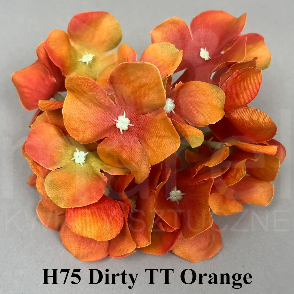 H75 Dirty TT Orange.jpg