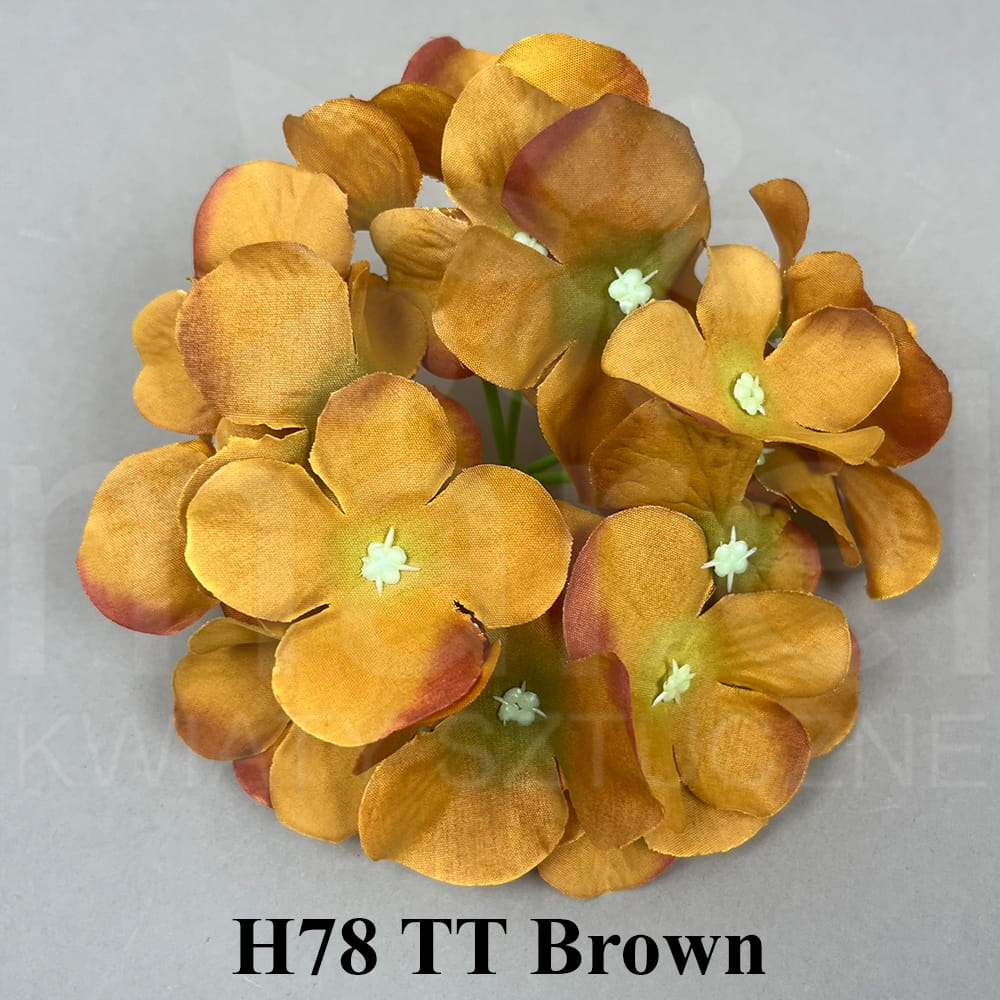 H78 TT Brown.jpg