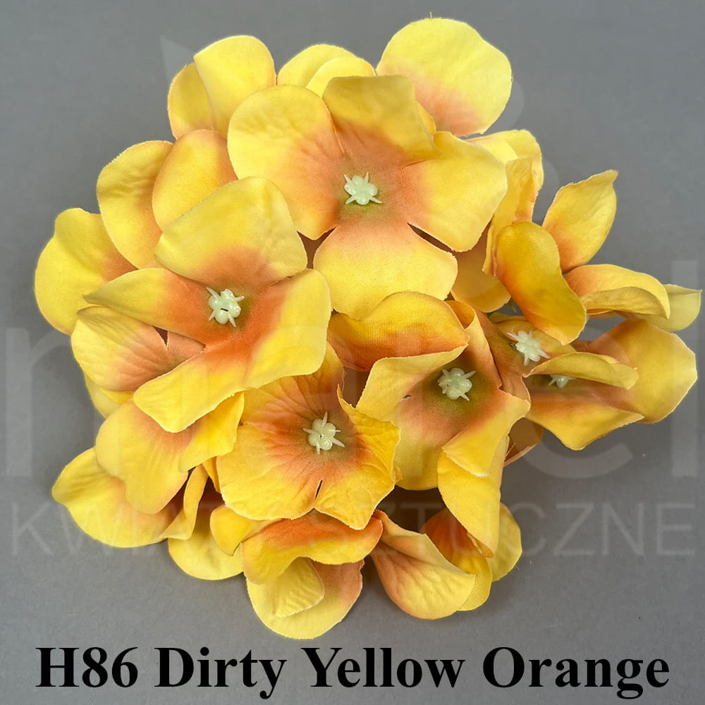 H86 Dirty Yellow Orange.jpg