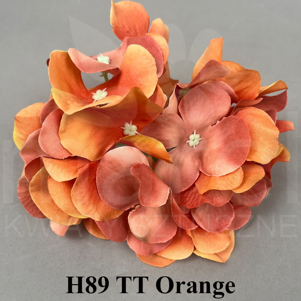 H89 TT Orange.jpg