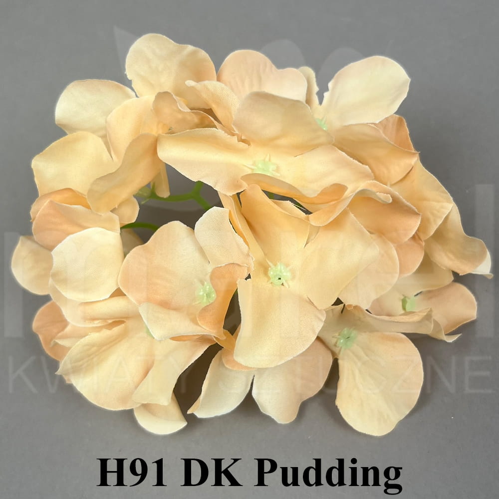H91 DK Pudding.jpg