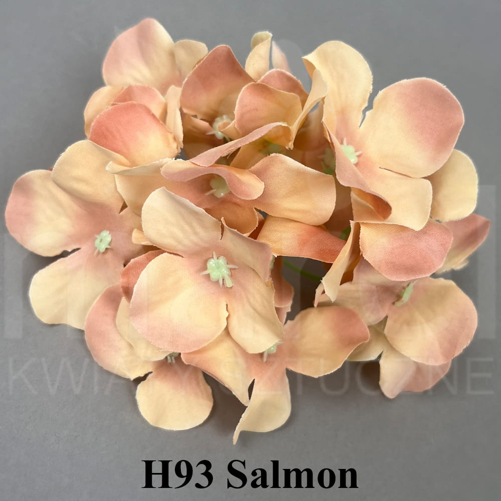 H93 Salmon.jpg
