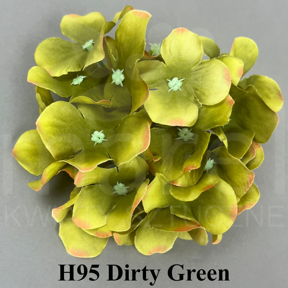 H95 Dirty Green.jpg
