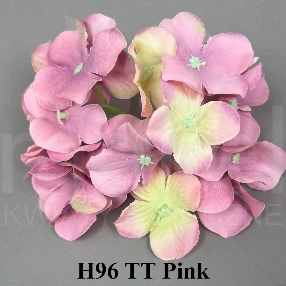 H96 TT Pink.jpg