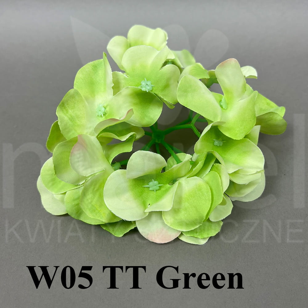 W05 TT Green.jpg