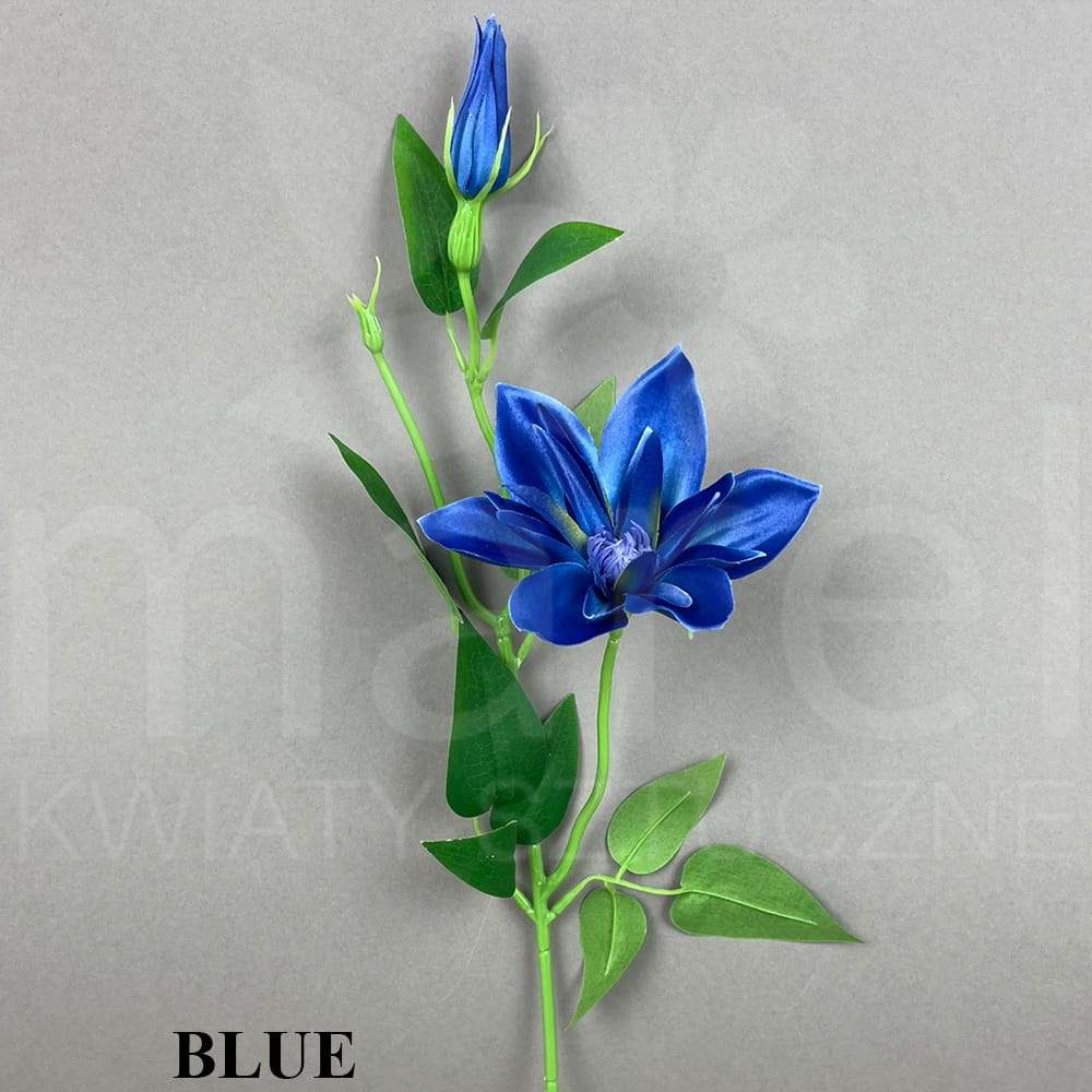 BLUE.jpg