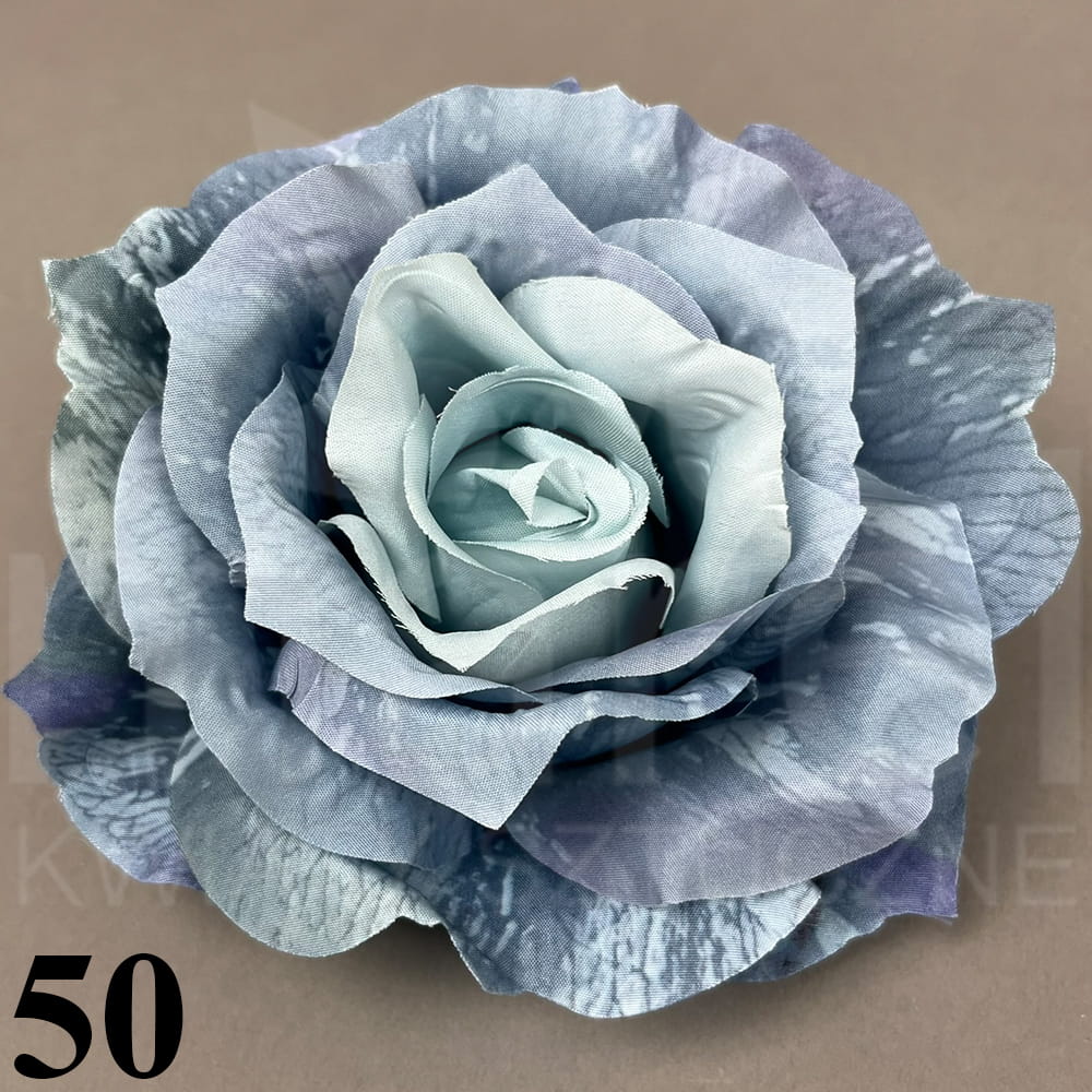 50.jpg