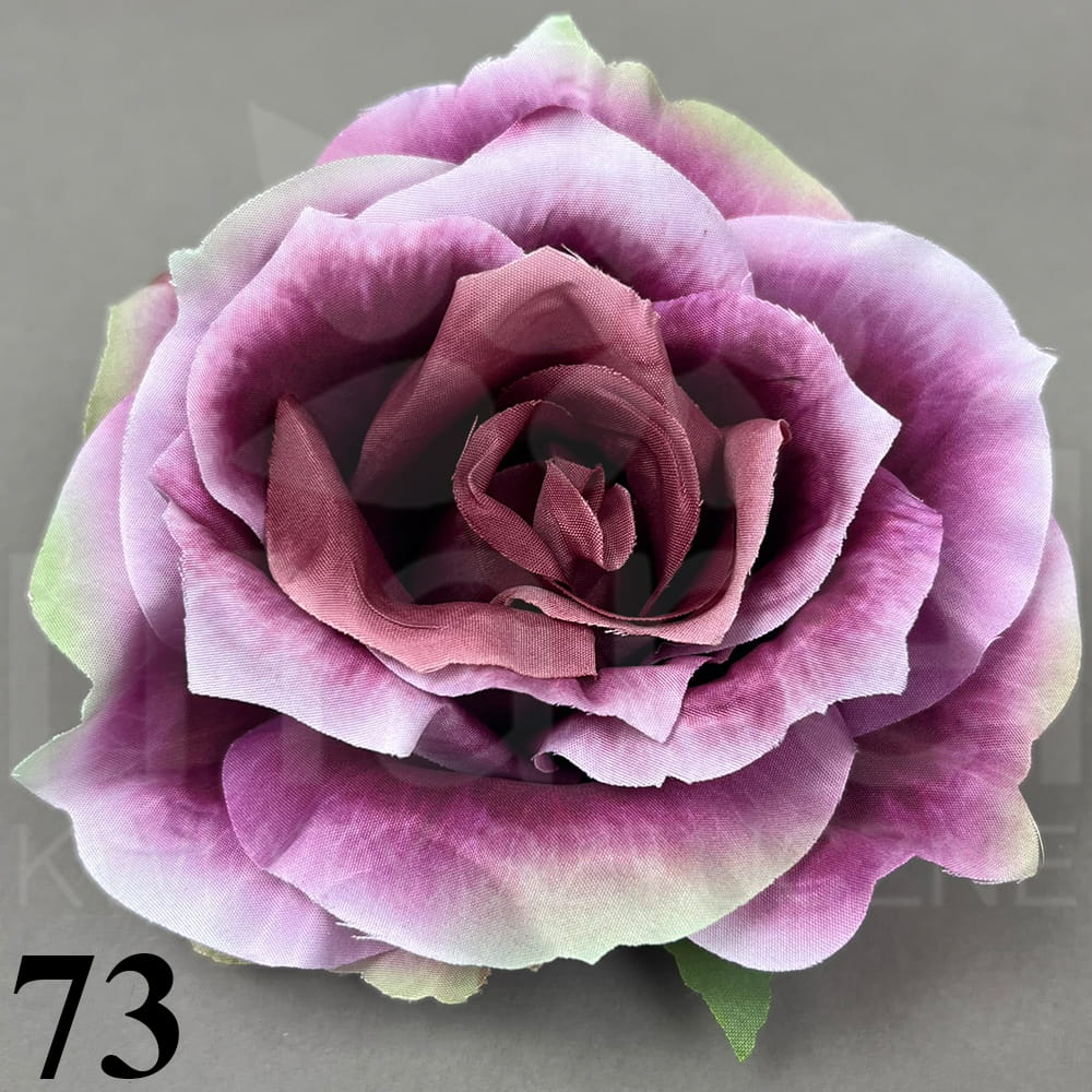 73.jpg