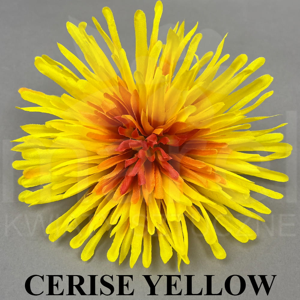 CERISE YELLOW.jpg