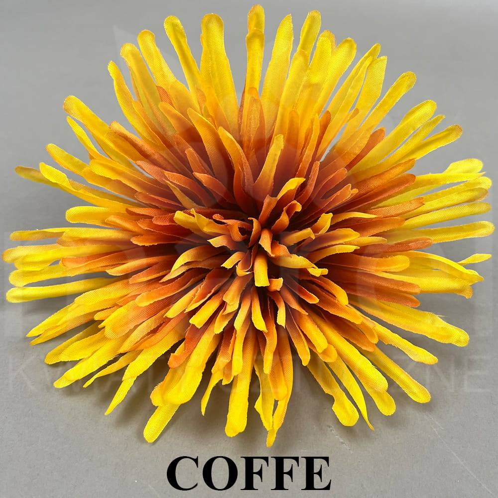 COFFE.jpg