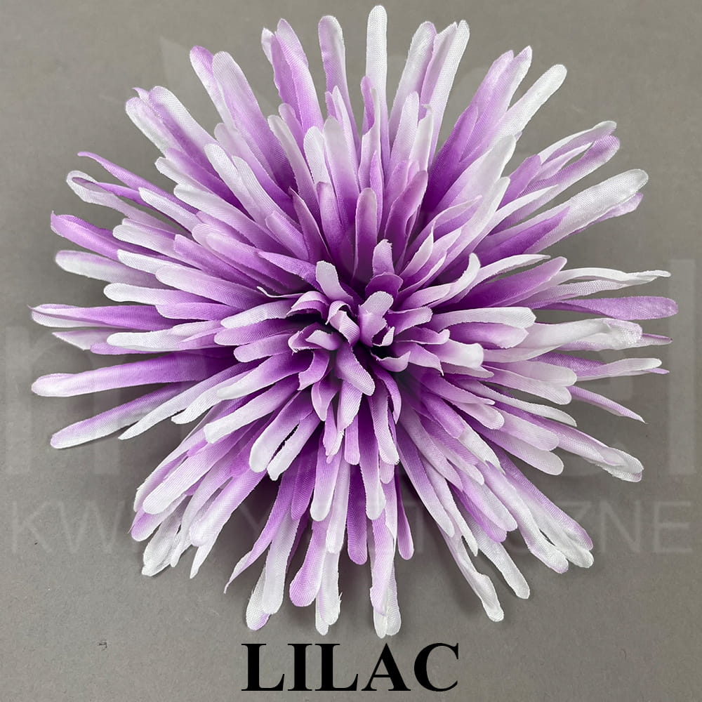 LILAC.jpg