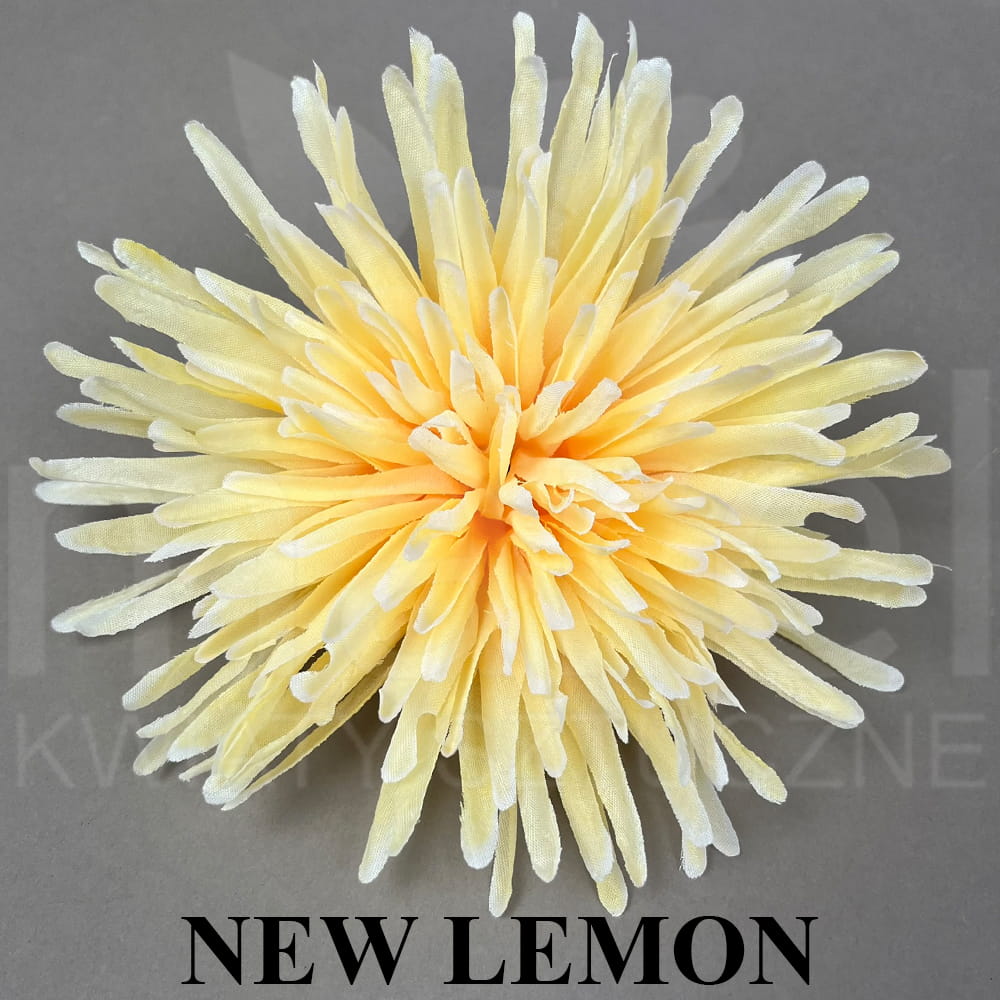 NEW LEMON.jpg