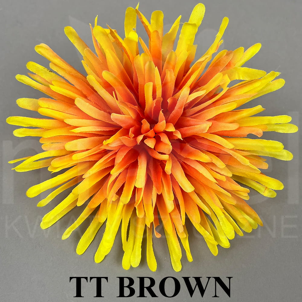 TT BROWN.jpg