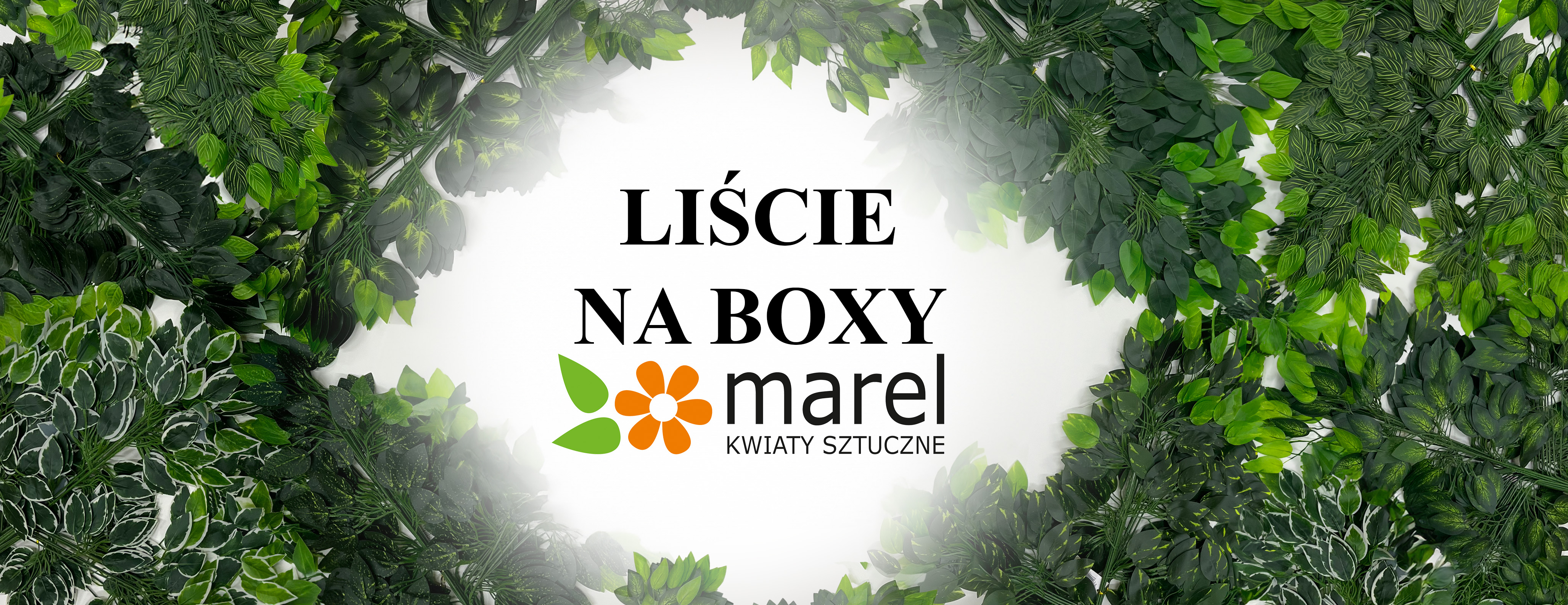 Liście na Box