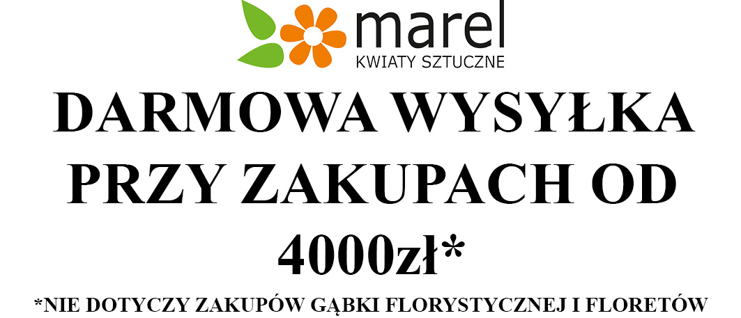 Darmowa wysyłka
